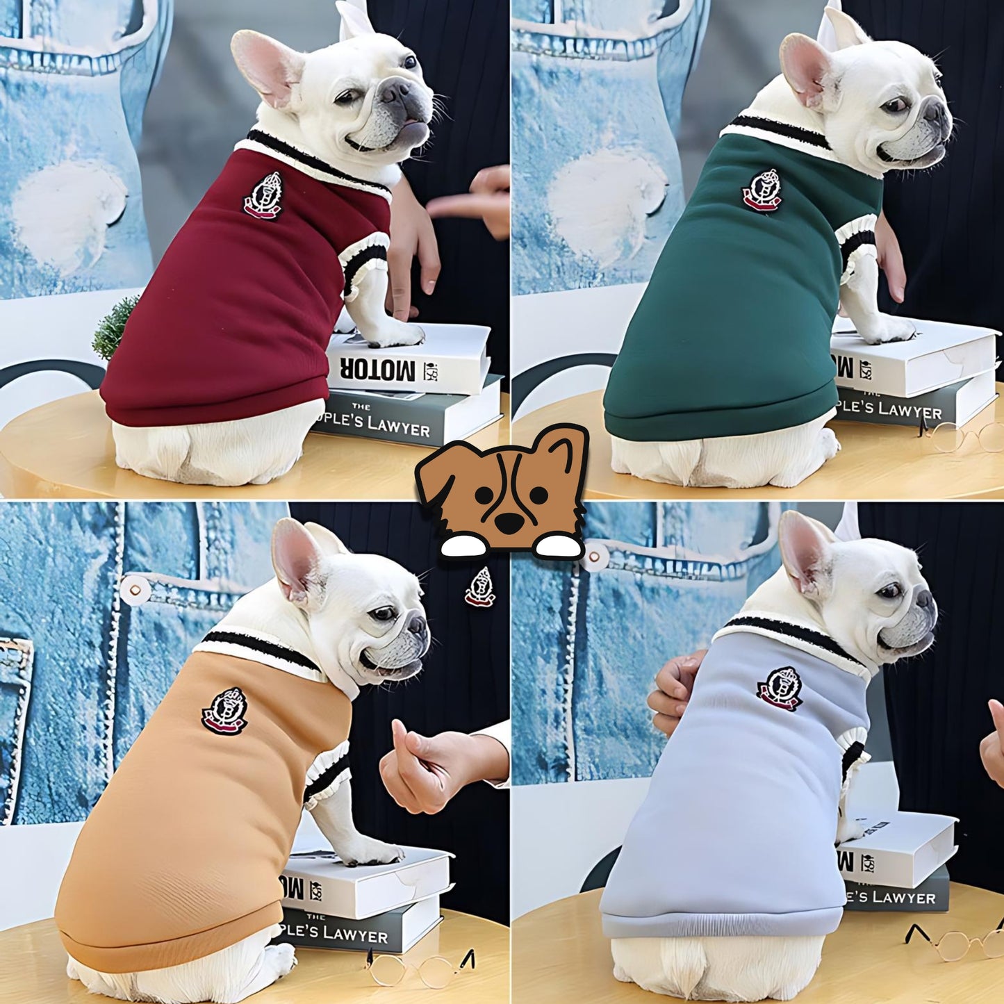Hoodie PetShcool