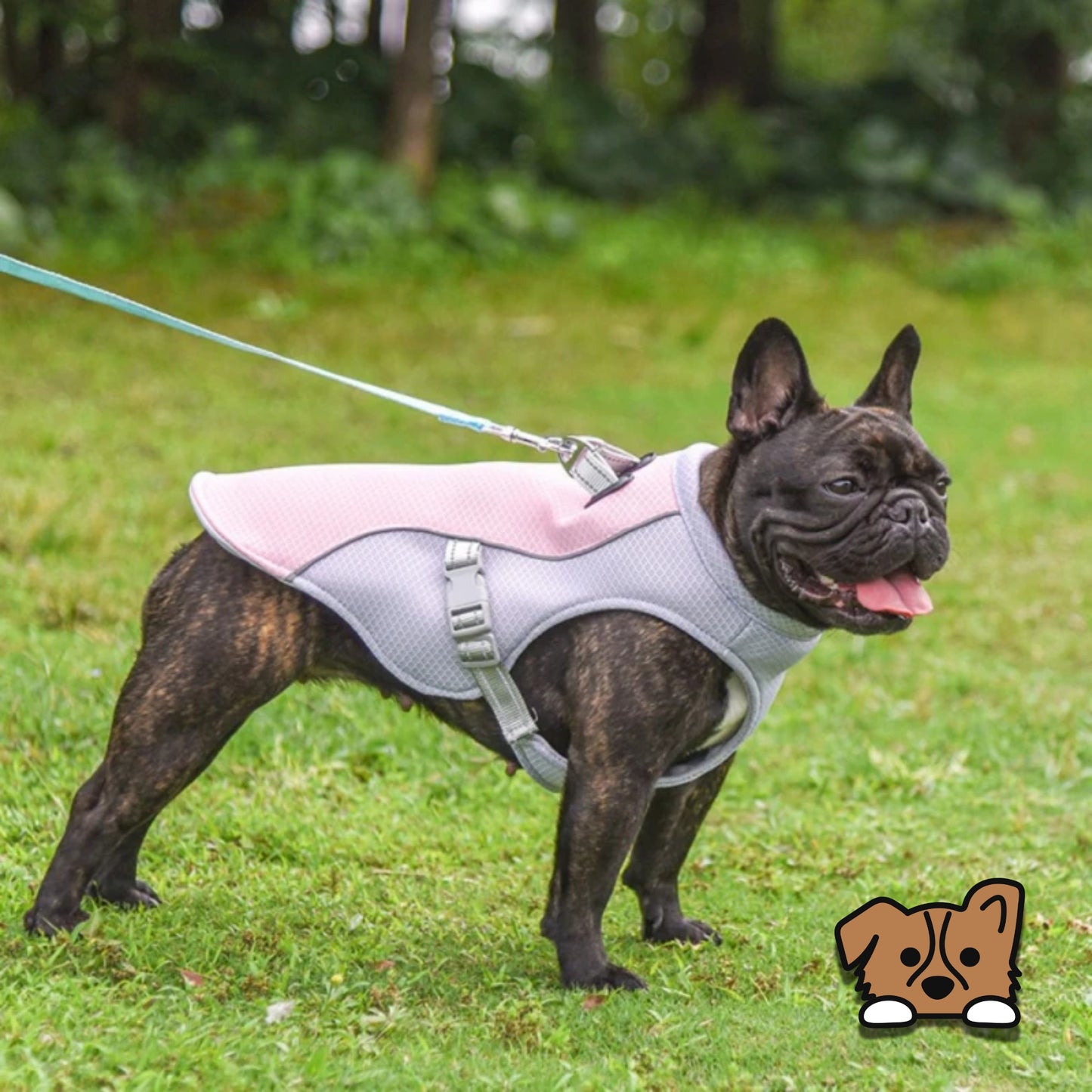 Dog Cooling Vest