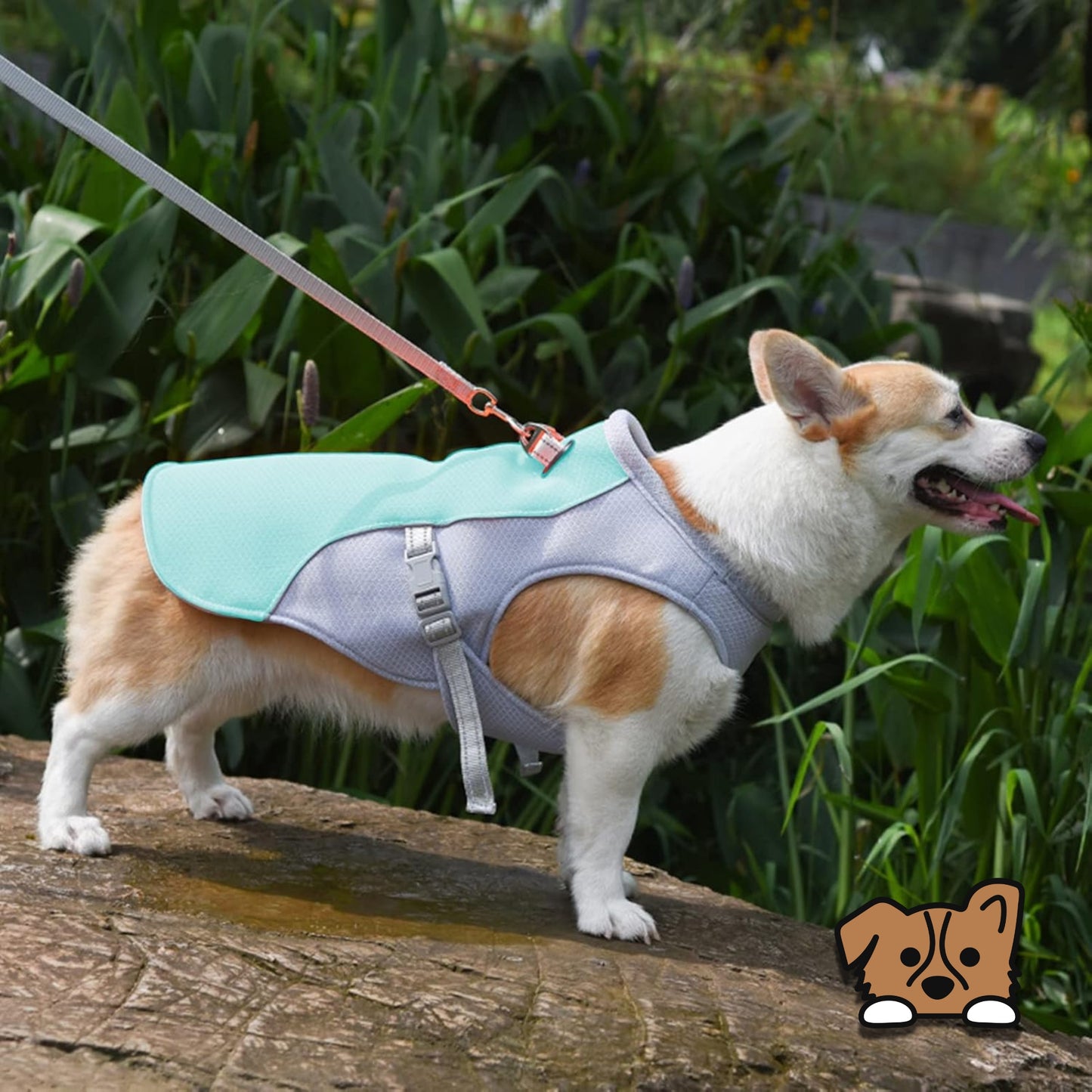 Dog Cooling Vest