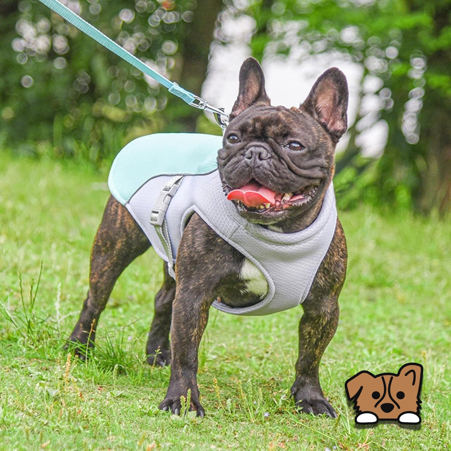 Dog Cooling Vest