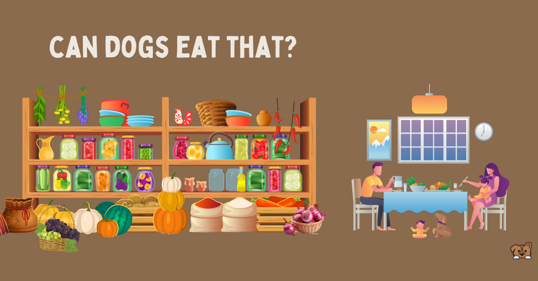 Toxic Foods for Dogs