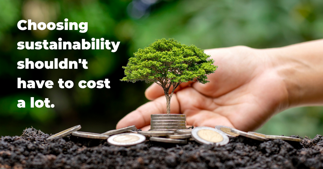 The Cost of Sustaynability: are products always expensive?