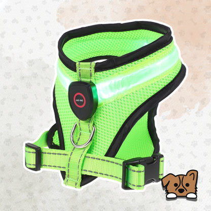 LED Light Dog Harness