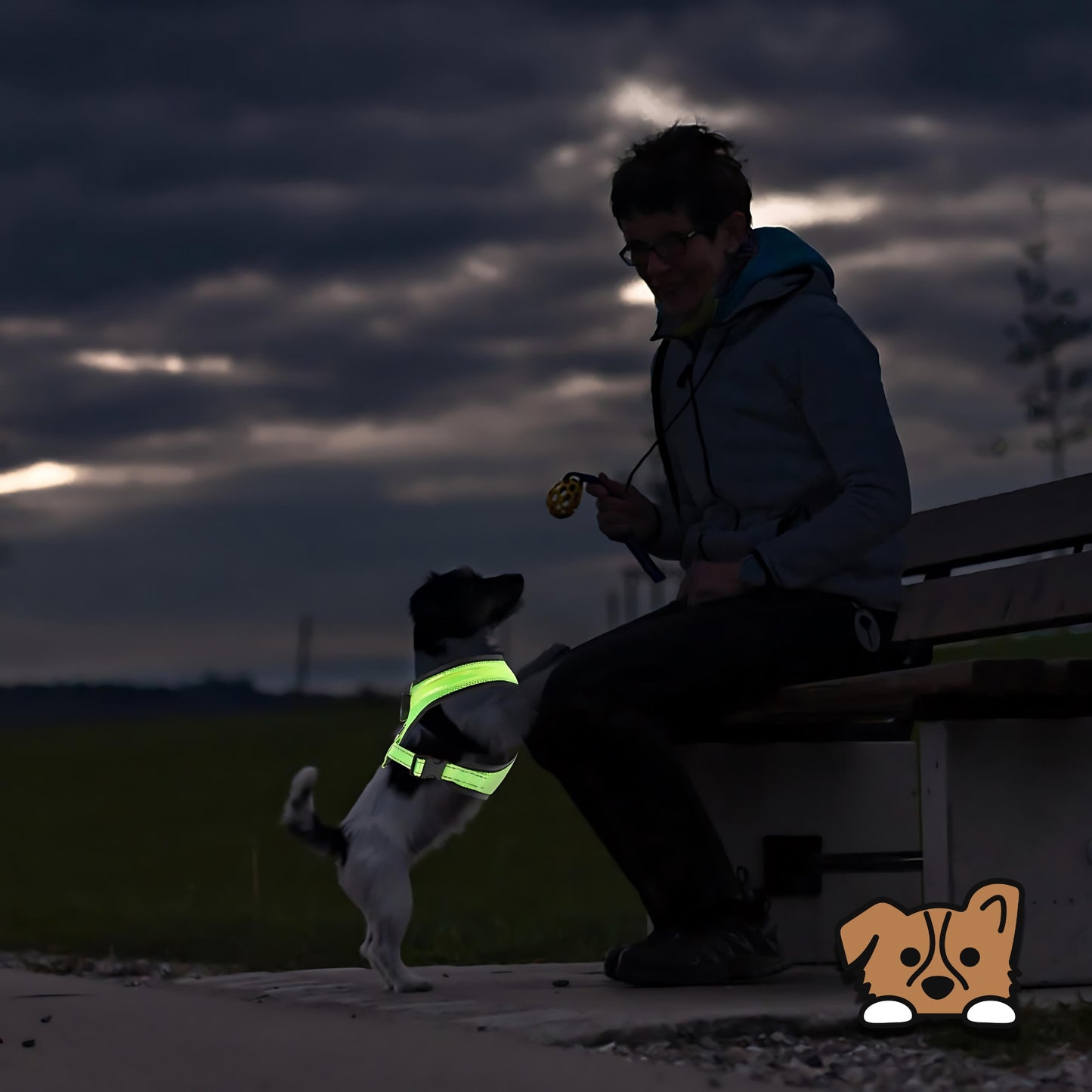 LED Light Dog Harness