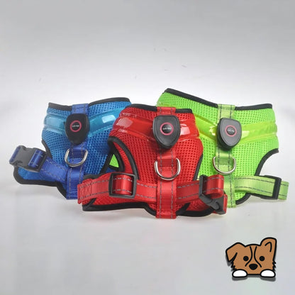 LED Light Dog Harness