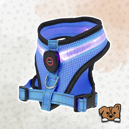 LED Light Dog Harness