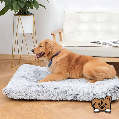 Plush Washable Dog Bed