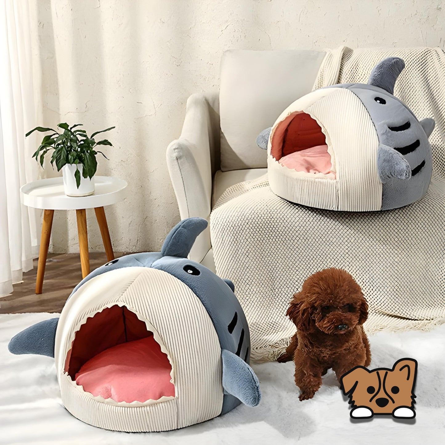 Shark Pet Bed