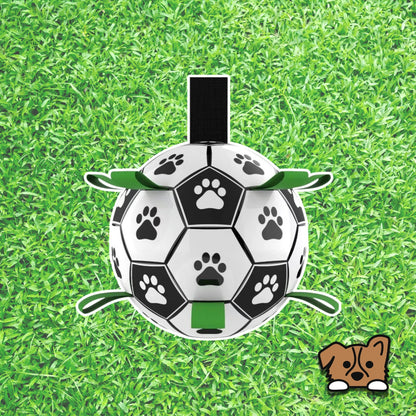 Soccer Ball Dog Toy