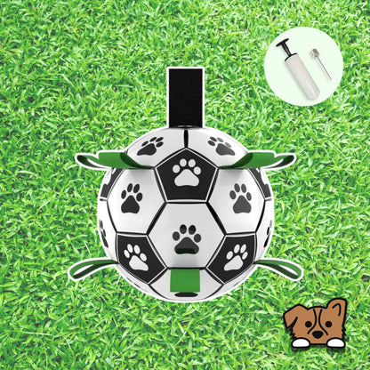 Soccer Ball Dog Toy