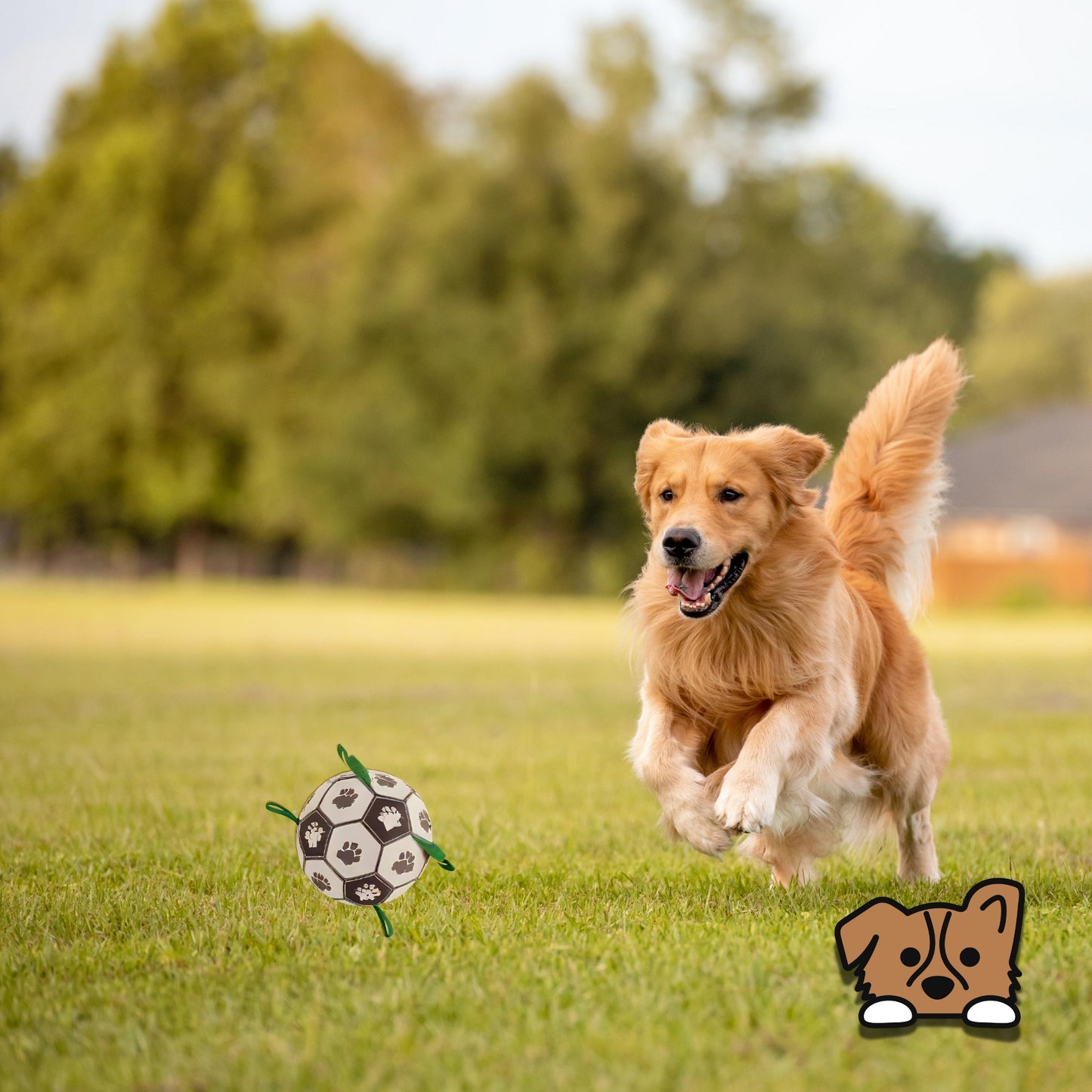 Soccer Ball Dog Toy