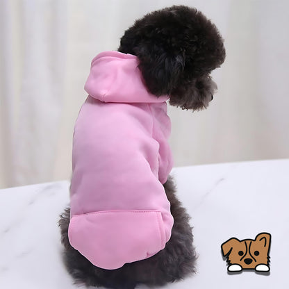 Pet Hoodie