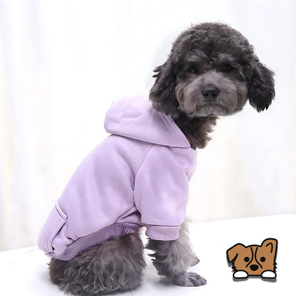 Pet Hoodie