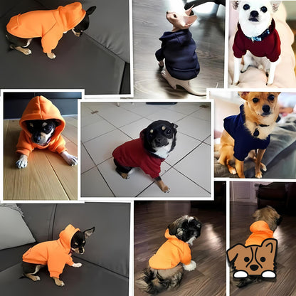 Pet Hoodie