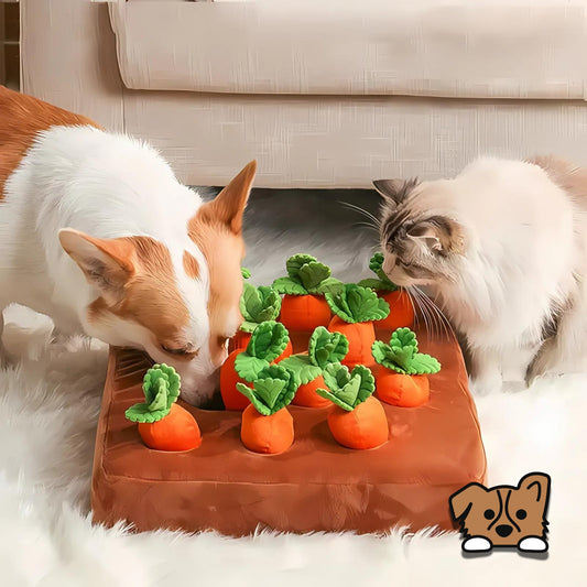 Vegetable Pet Puzzle