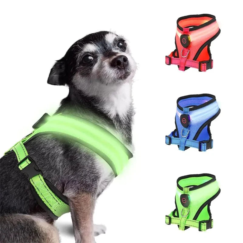 LED Light Dog Harness